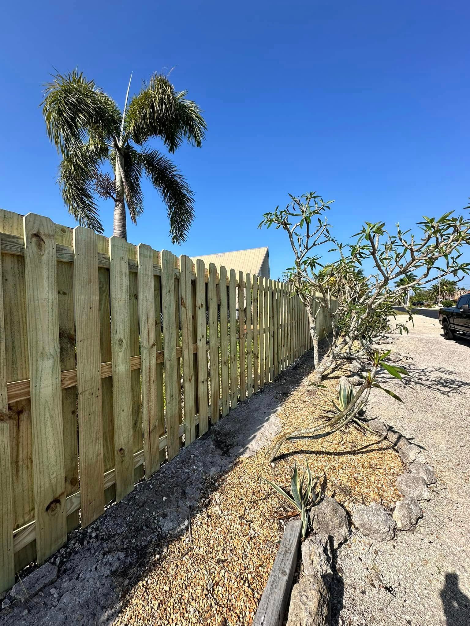 Wooden fence alongside a gravel path, with a palm tree and clear blue sky in the background.