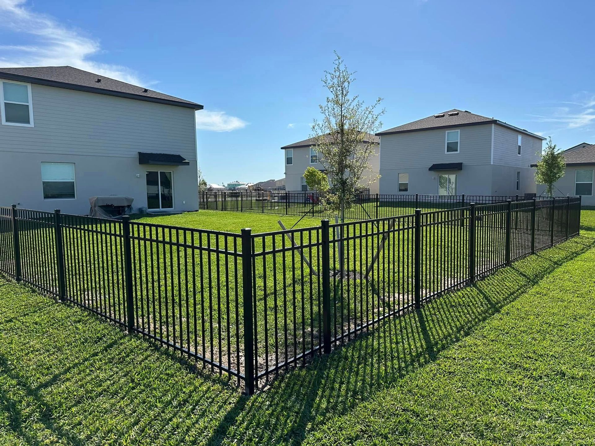 Black metal fence encloses backyard with green grass, young tree, and gray houses under a blue sky.