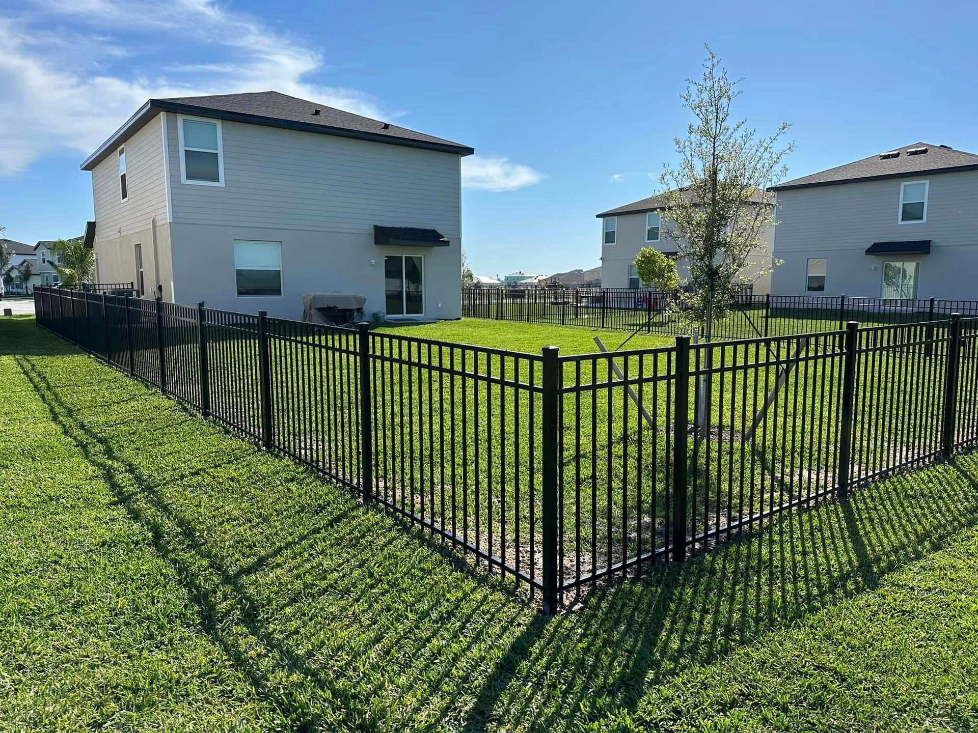 Backyard with black metal fence, houses, and green grass under a blue sky.