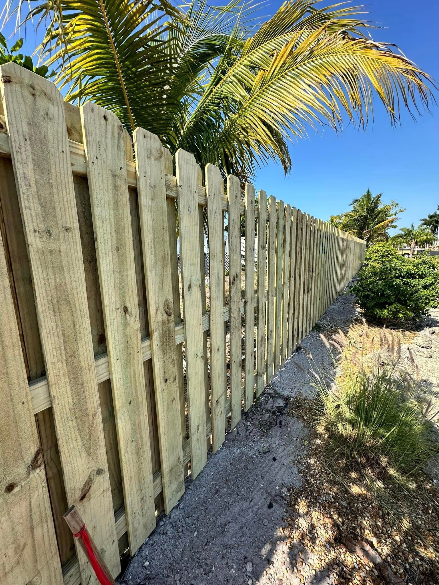 Wooden fence along a gravel path with a bright blue sky and palm tree in the background.