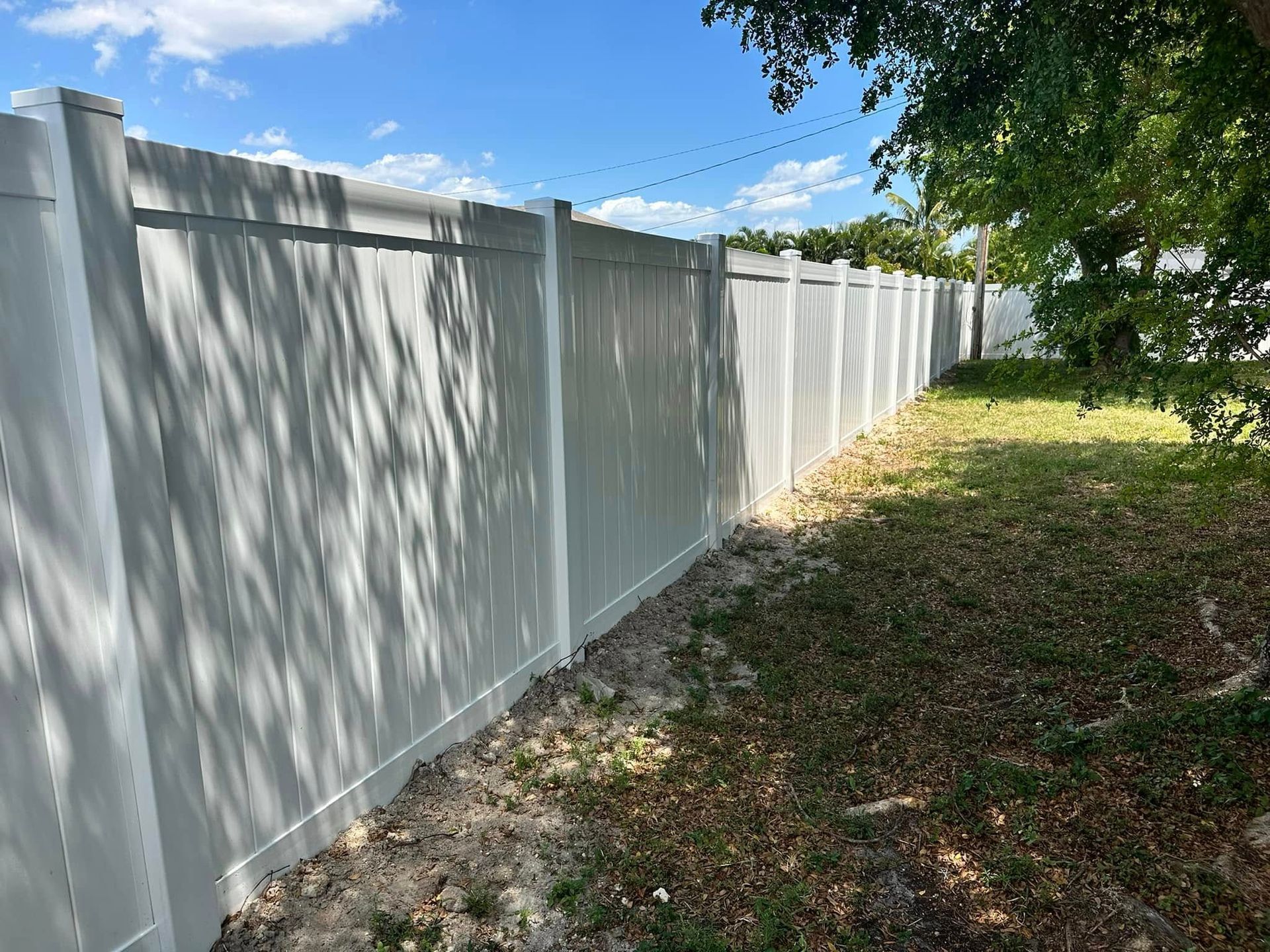 White vinyl fence in a yard on a sunny day. Shadow of a tree cast on the fence.