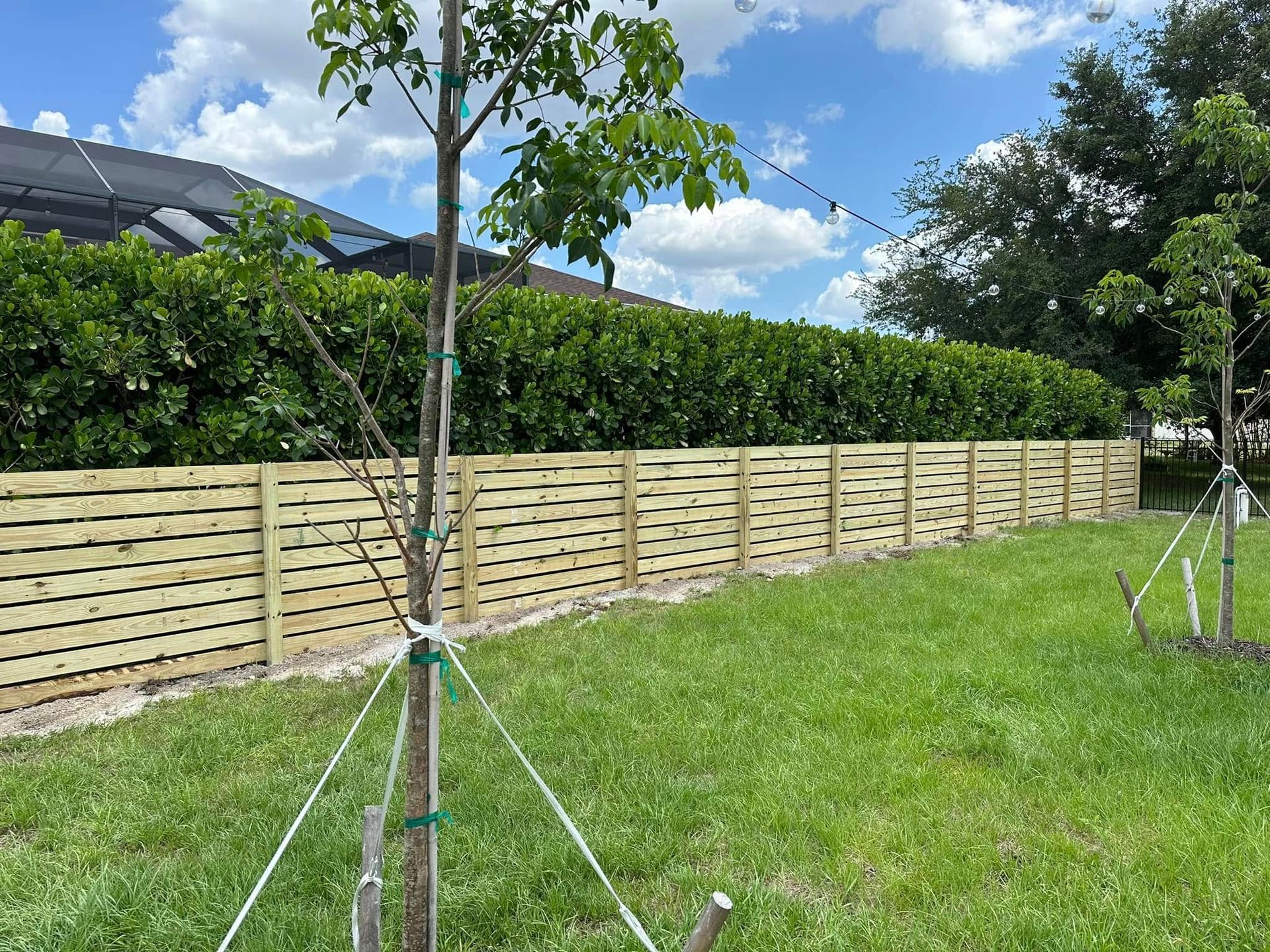 A wooden horizontal slat fence in a grassy backyard, trees and bushes behind it under a blue sky.