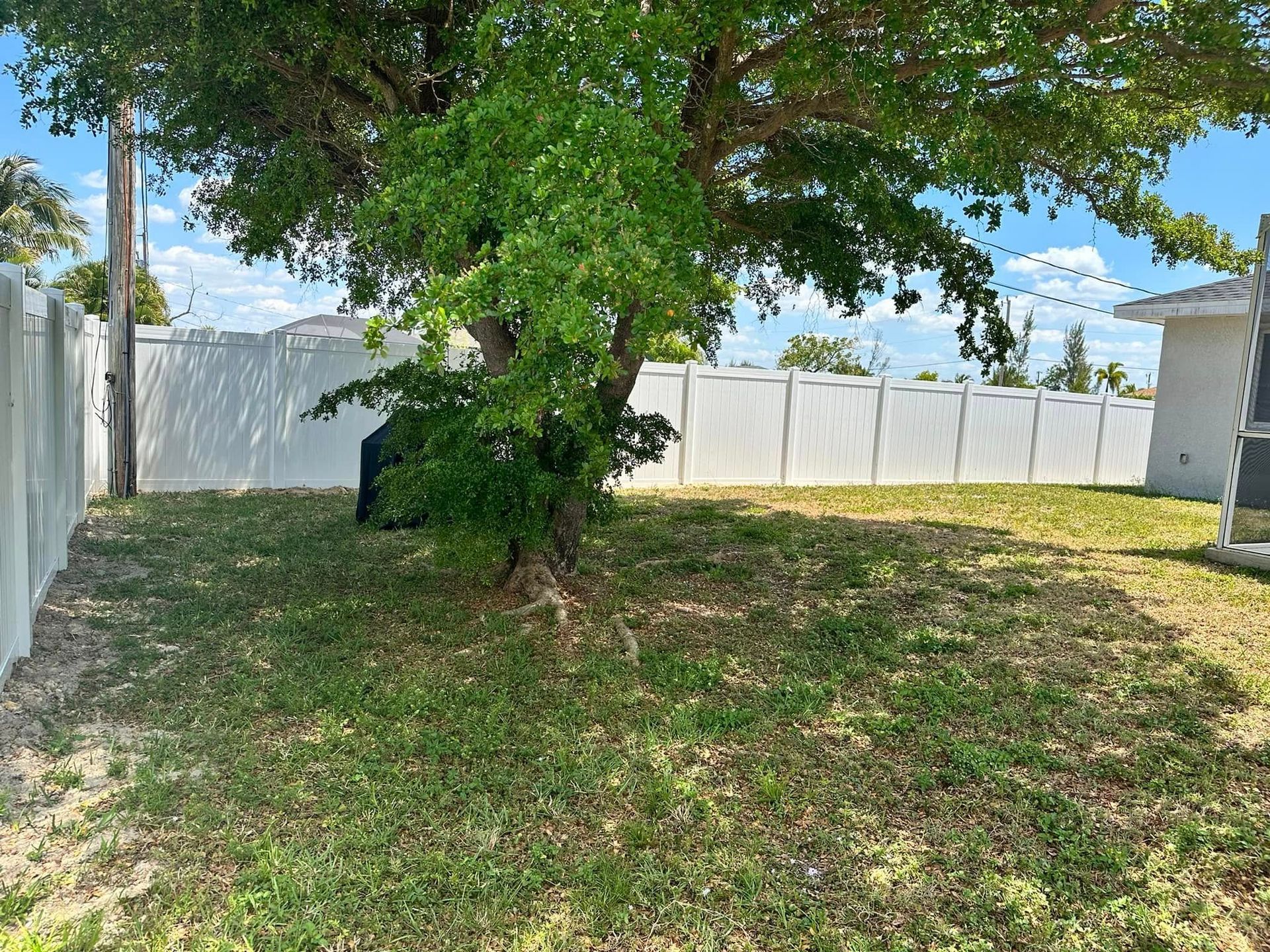 Grassy backyard with white fence, tree, and blue sky.