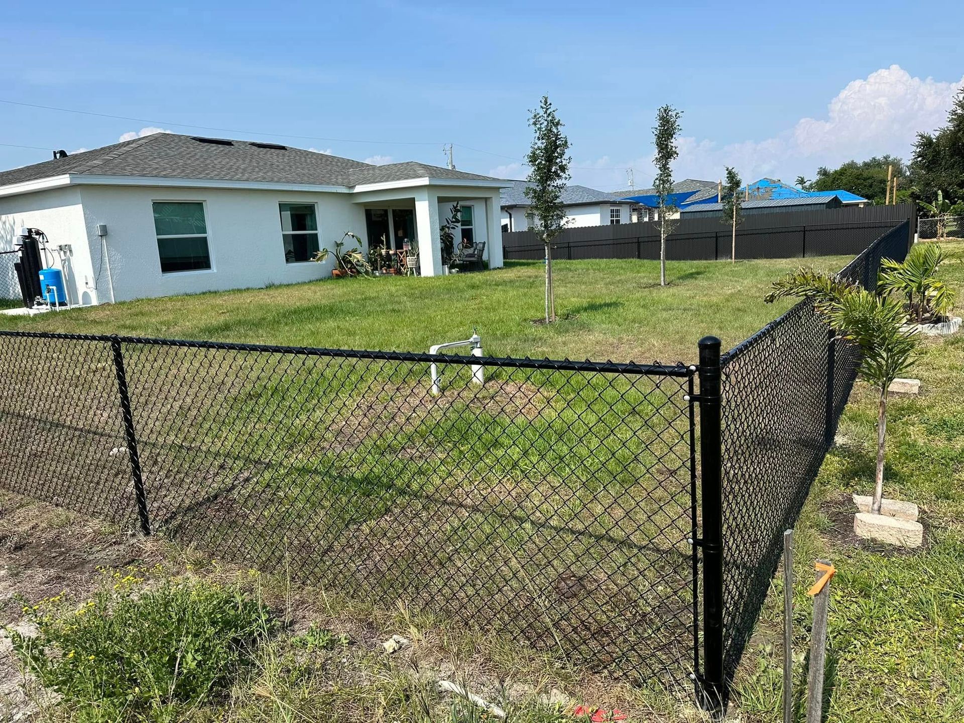 Black chain-link fence surrounding a grassy backyard with a white house under a blue sky.