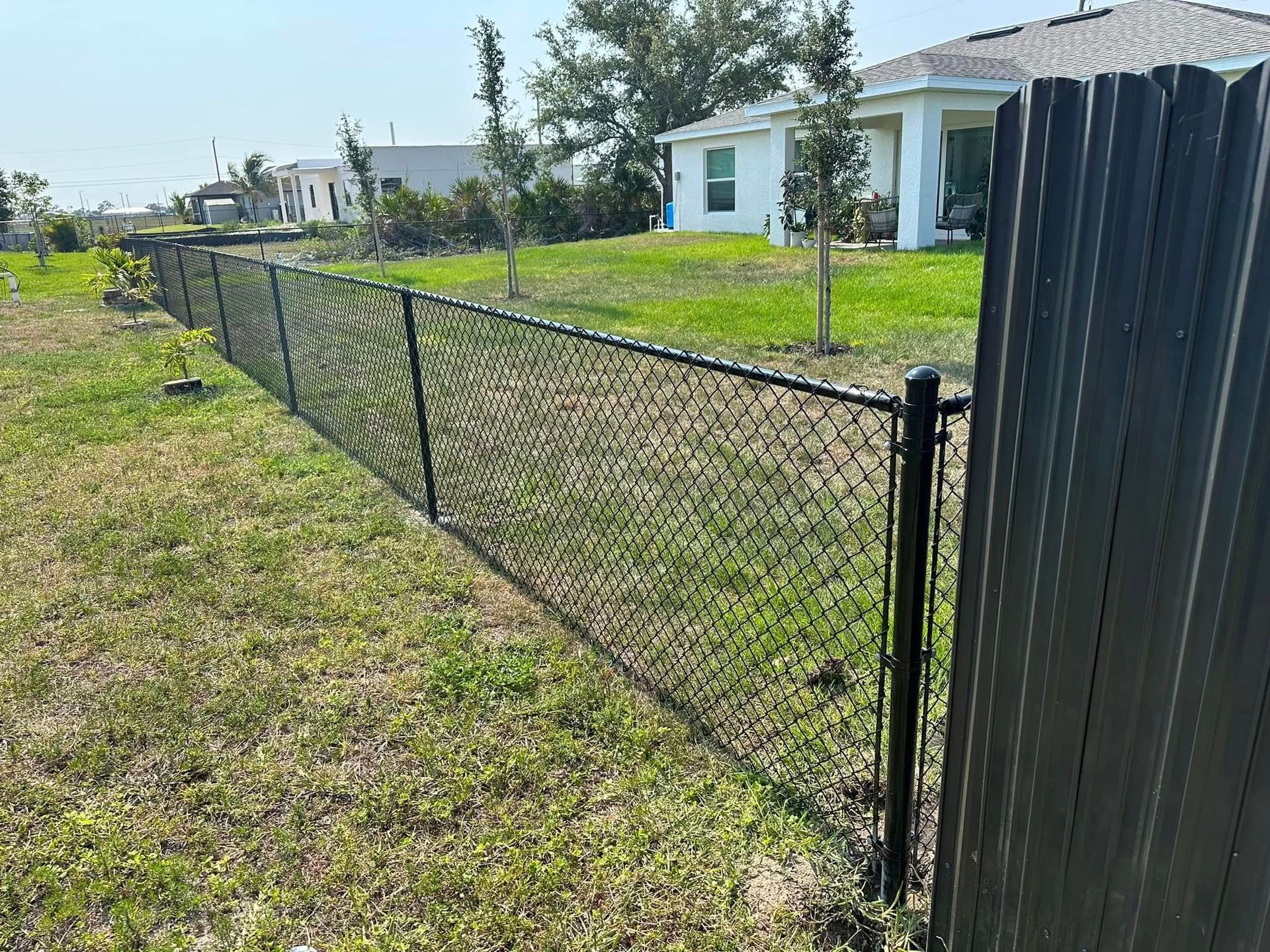 Black chain-link fence in a grassy yard, with houses and trees in the background on a sunny day.