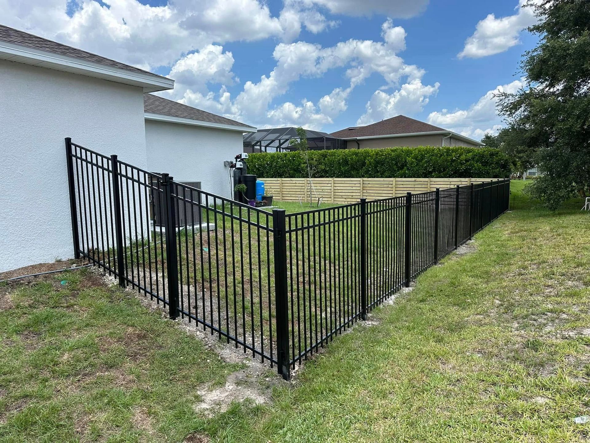 Black metal fence in a grassy backyard, bordering a white house and wooden fence.