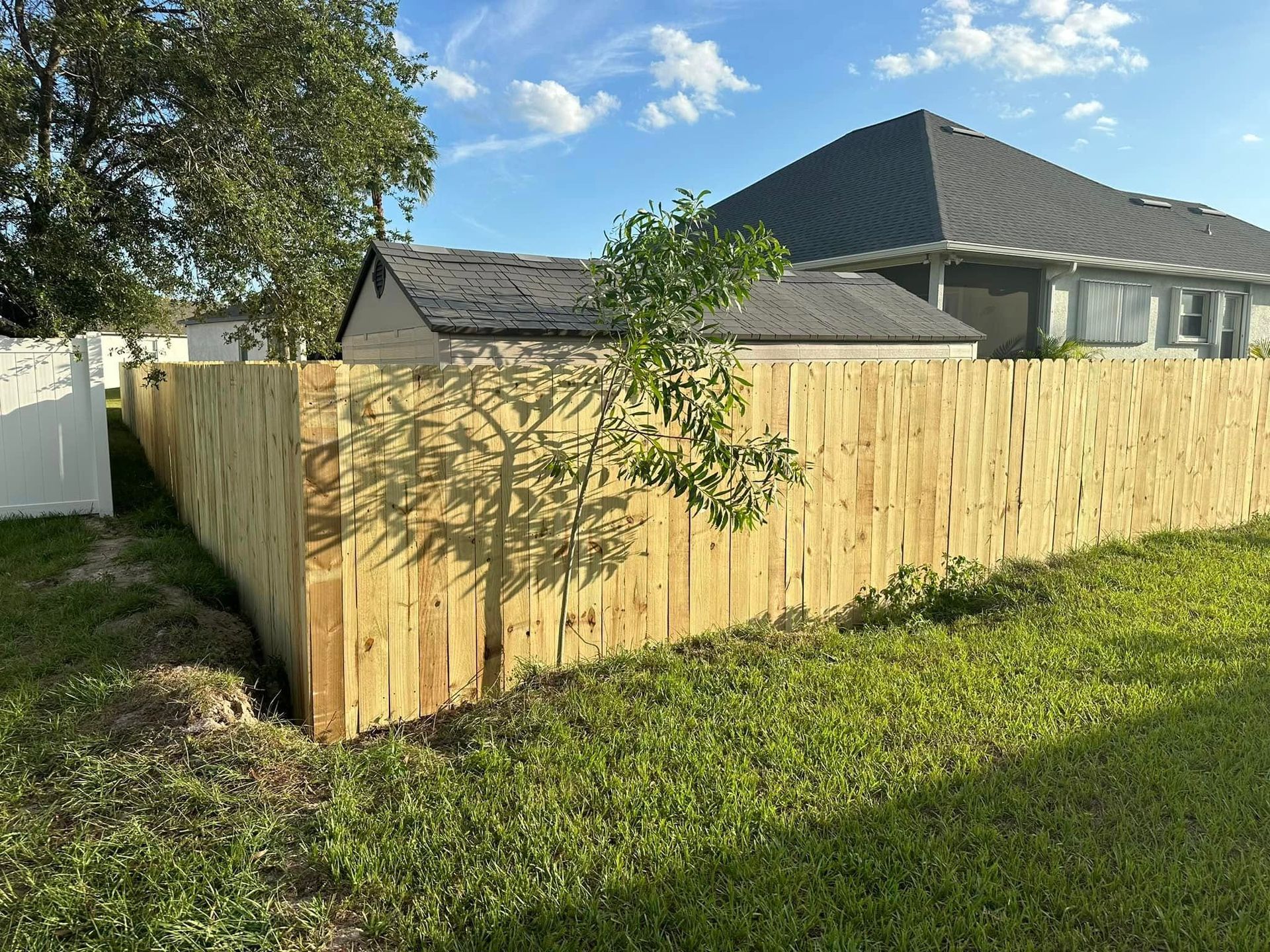 Wooden fence surrounds a grassy yard; small tree in front.