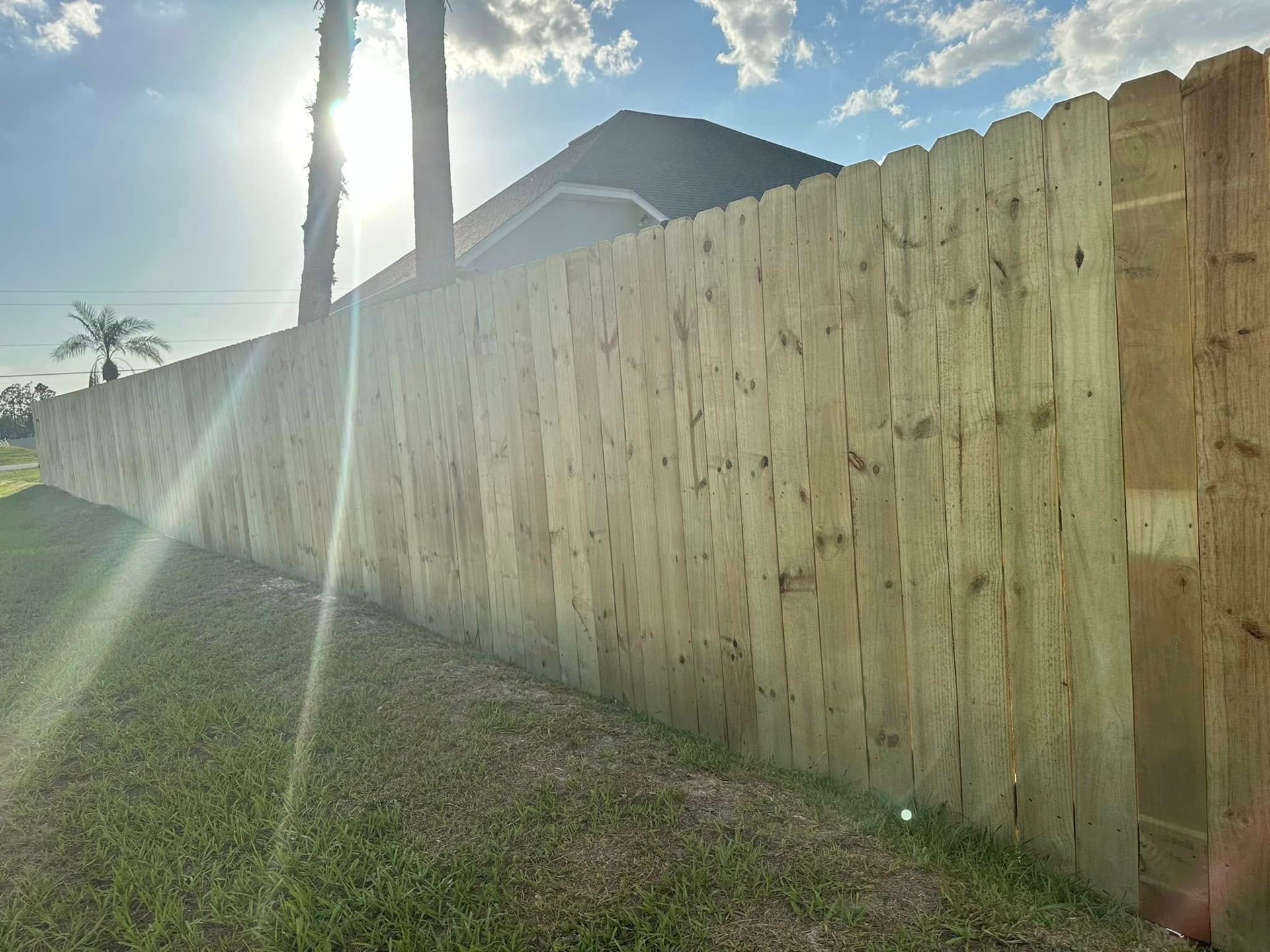 Wooden fence along a grassy lawn, bright sunlight in background.