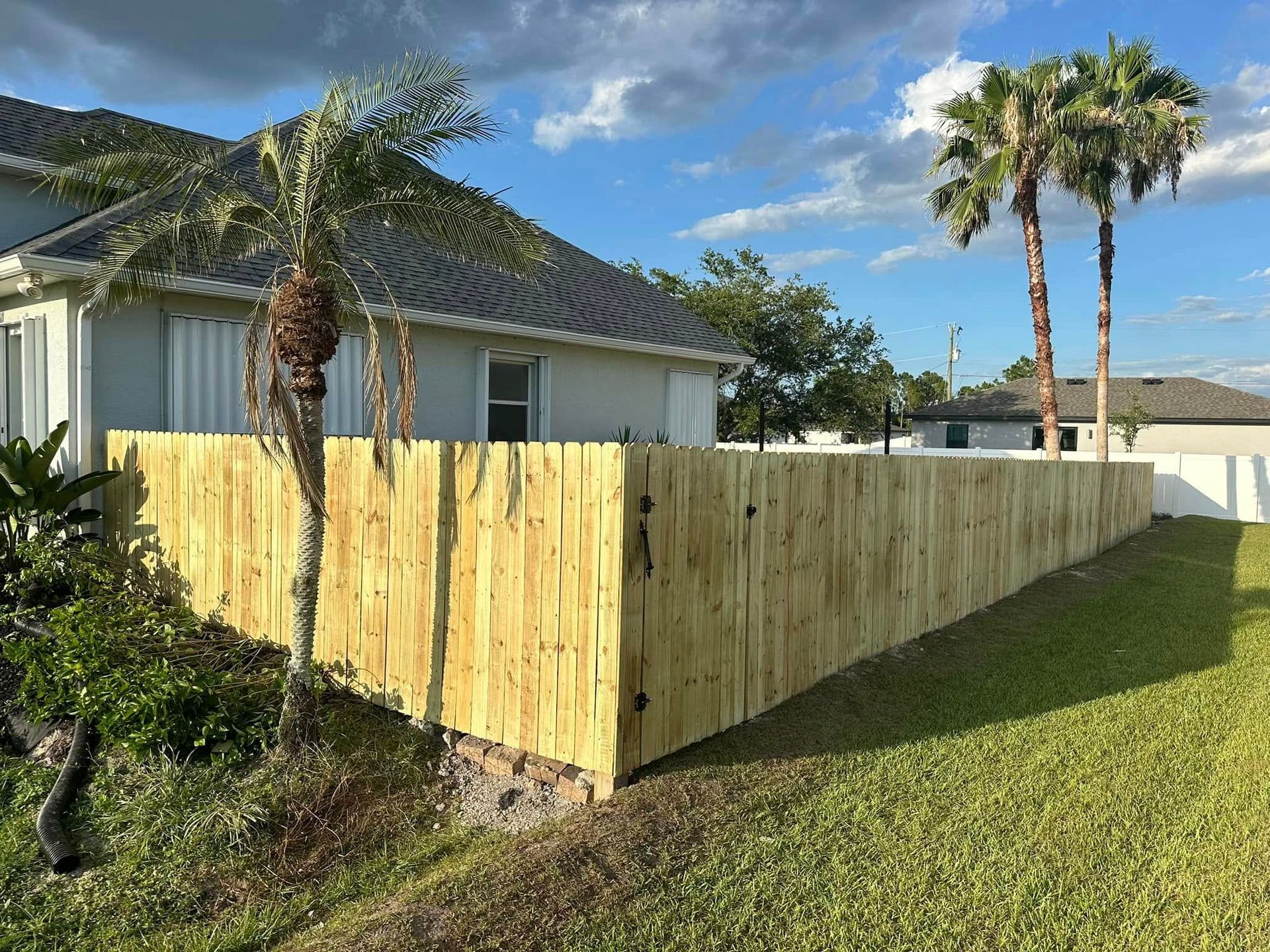 Wooden fence next to a light-colored house, palm trees in the background.