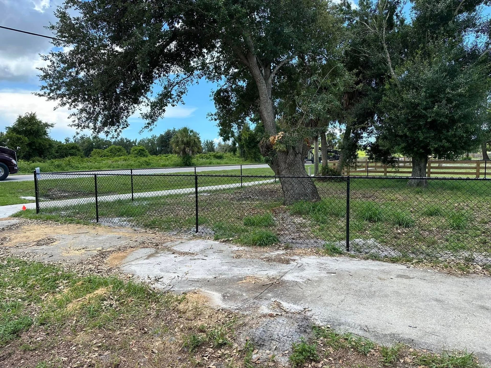 Black chain link fence around a tree and yard with green grass and trees on a cloudy day.
