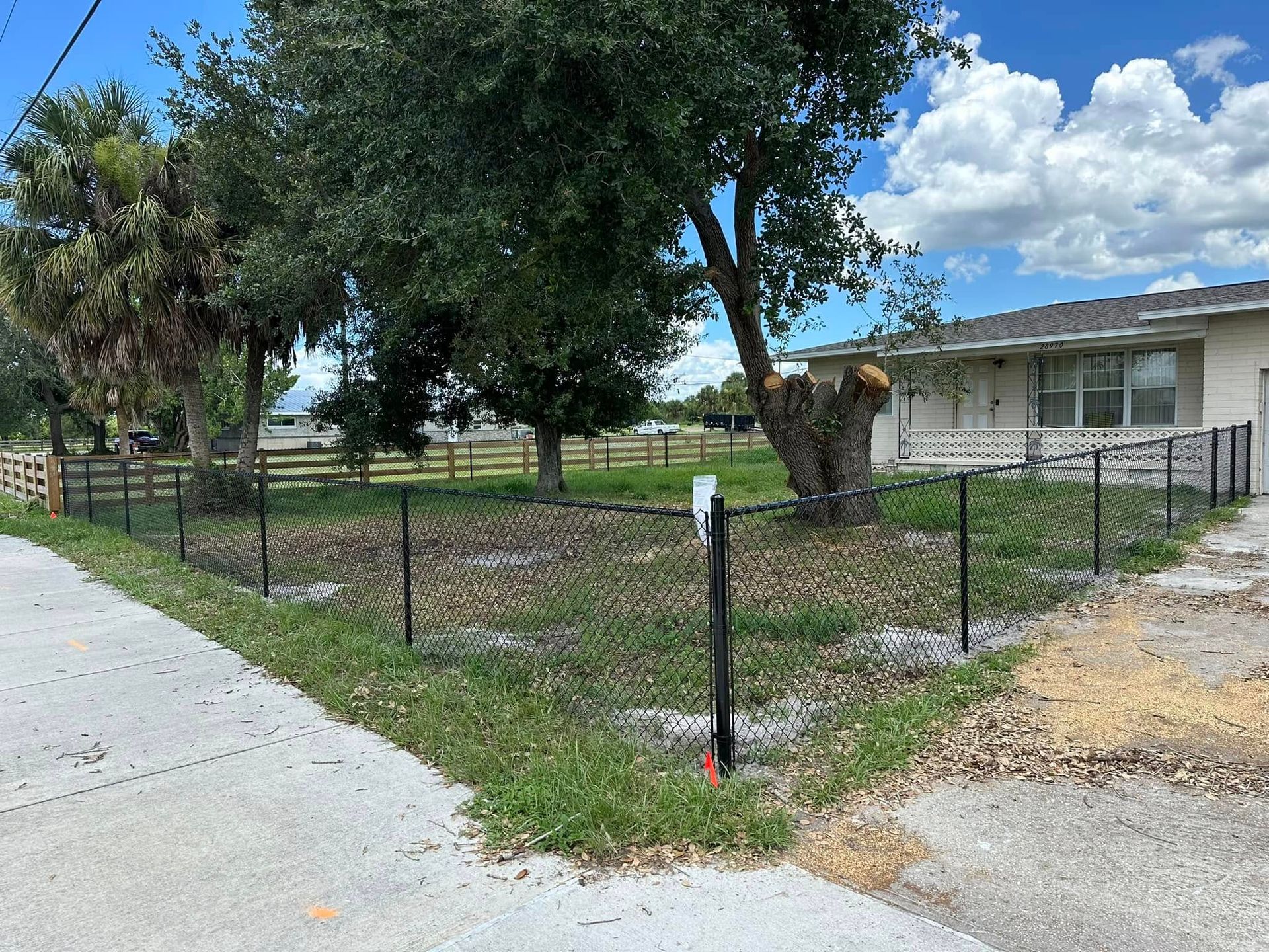 A black wire fence surrounds a yard with brown grass and trees, next to a beige house and road.