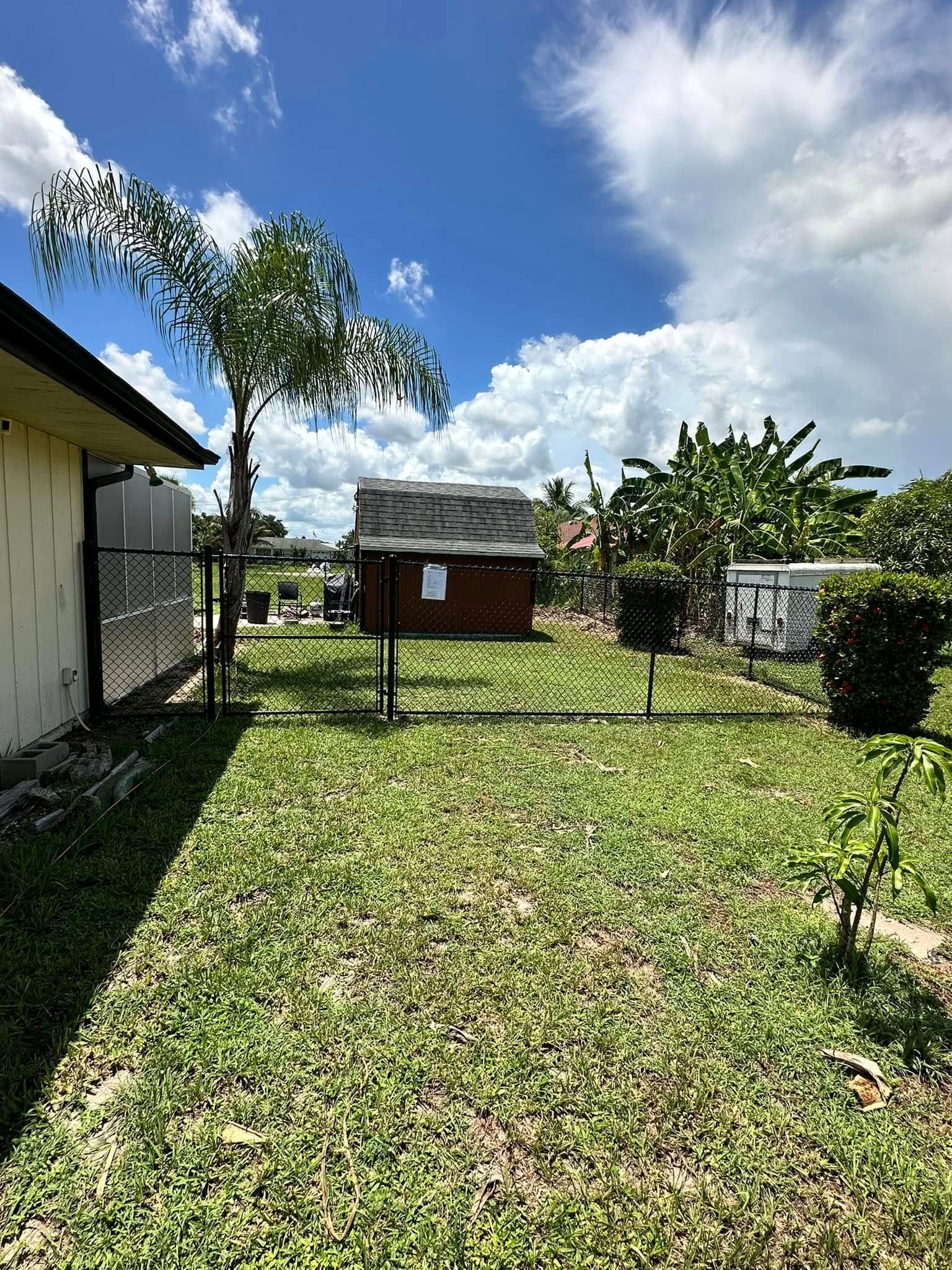 A backyard with grass, shed, fence, palm tree, and cloudy blue sky.