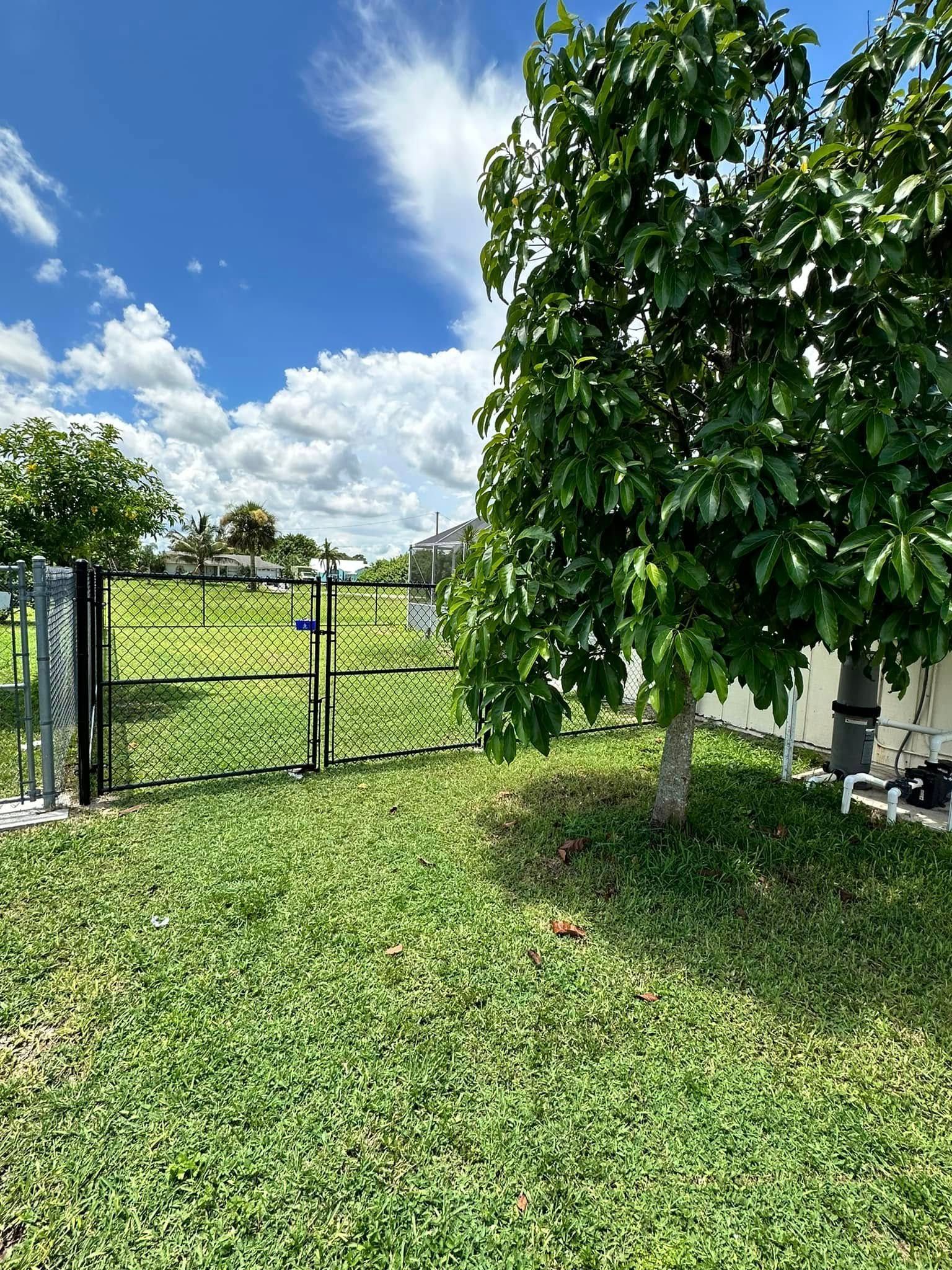 Green yard with tree, fence, gate, and sky with clouds.