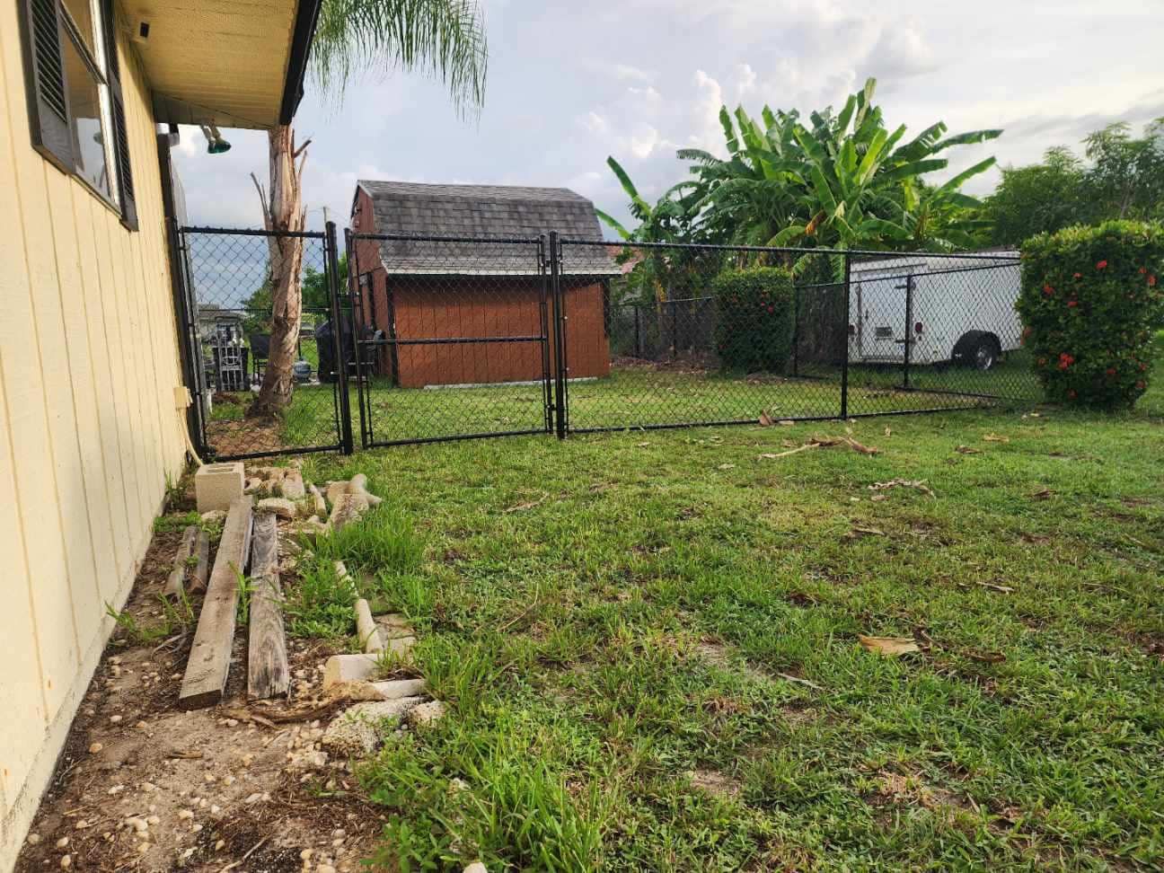 Backyard with black chain-link fence, shed, trailer, and overgrown grass.