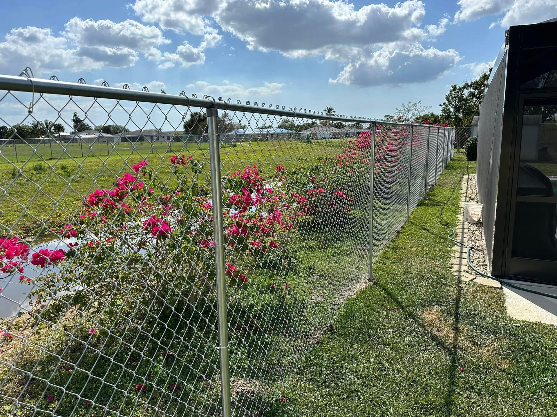 Chain link fence with pink flowering vines, beside a grassy lawn and house, under a cloudy sky.
