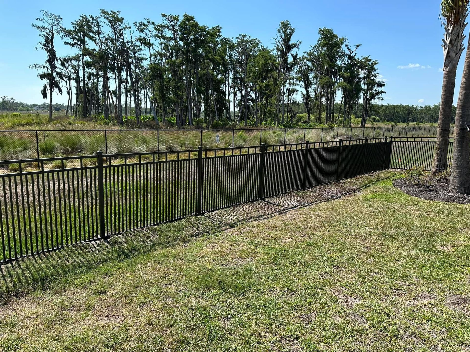 Black fence next to grassy area with trees in the background under a blue sky.