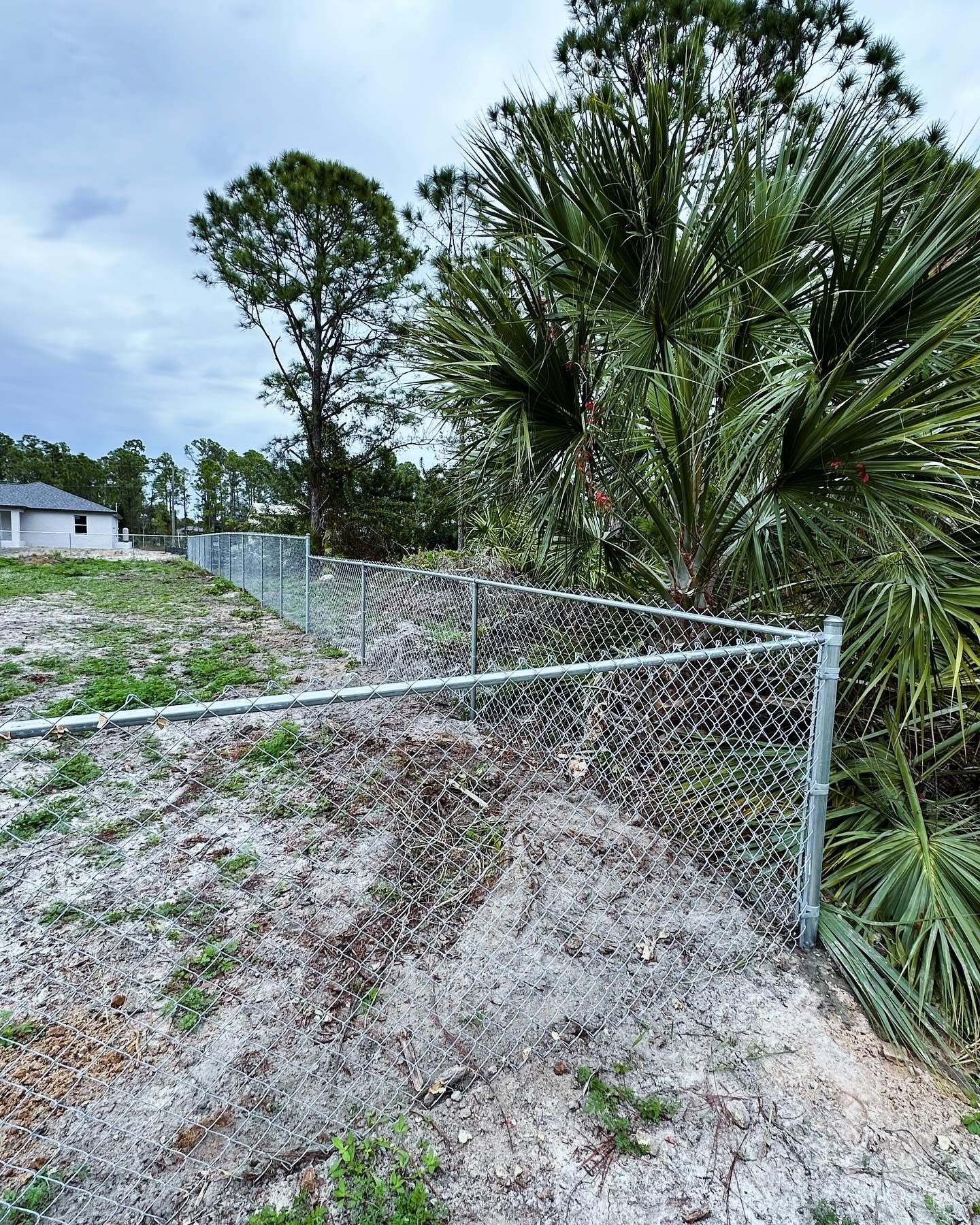 Chain-link fence bordering a grassy area with trees, and a partially visible house under a cloudy sky.