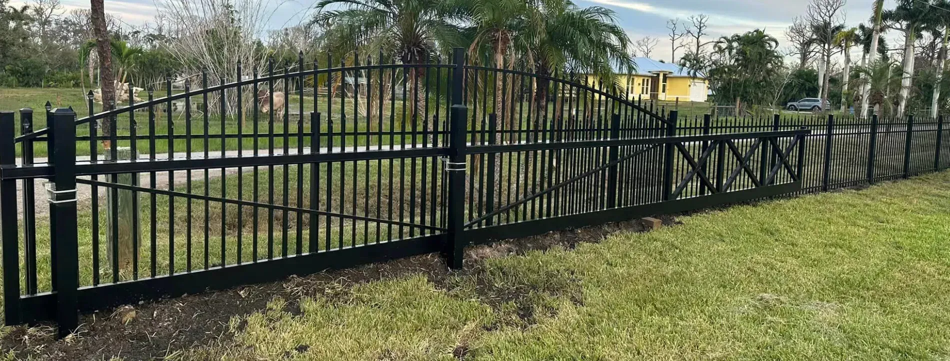 Black metal fence in a grassy yard, with palm trees and greenery in the background.