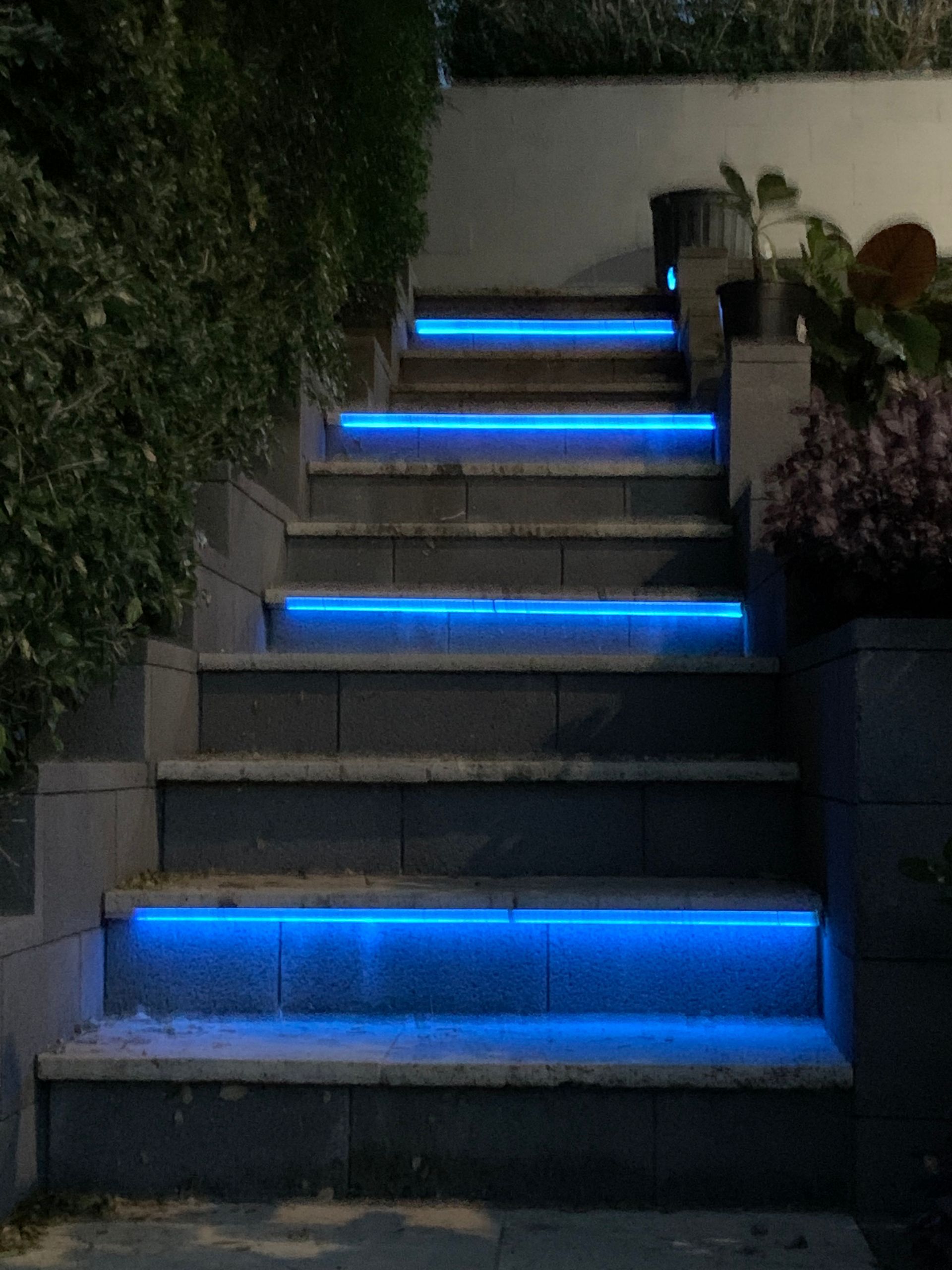 Outdoor concrete steps at night illuminated by horizontal blue LED strip lights — Channel Electrical In Swansea Heads, NSW