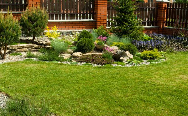 A lush green lawn with a fence in the background