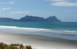 Sample delivery to IPL Northland Lab