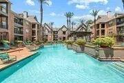 Resort-style swimming pool with lounge chairs and palm trees at a multifamily property