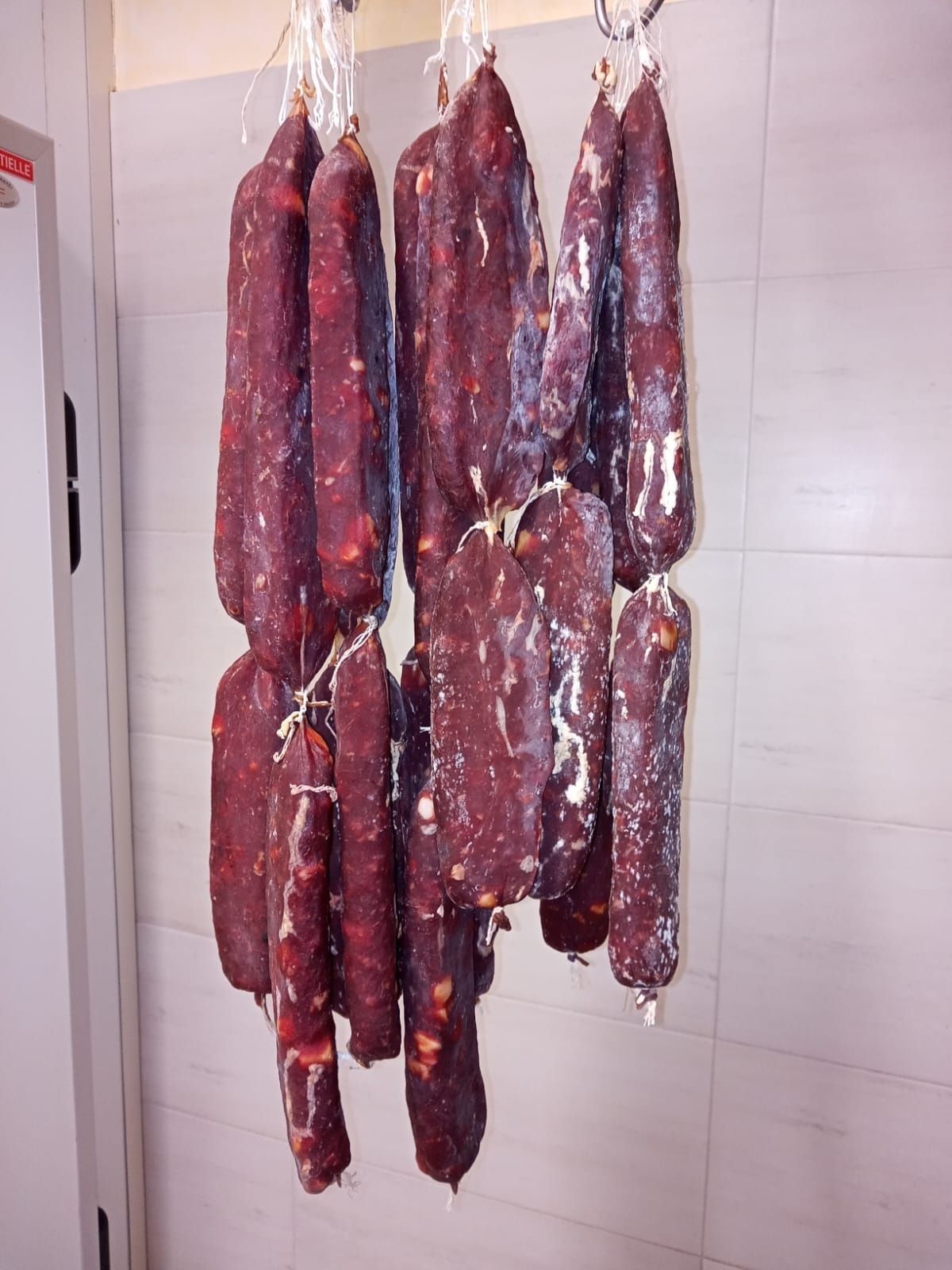 salsicce stagionate maiale razza casertana