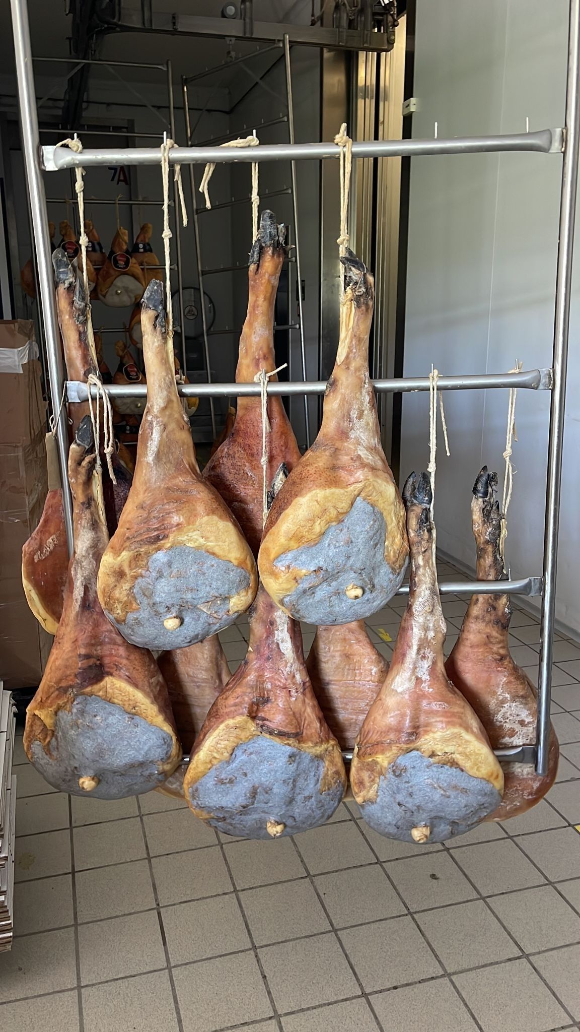 prosciutto maiale razza casertana