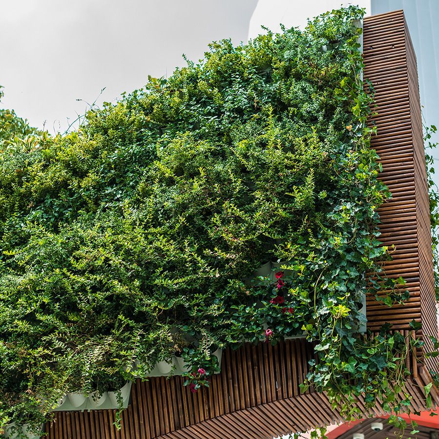 Una pared verde está creciendo al costado de un edificio.