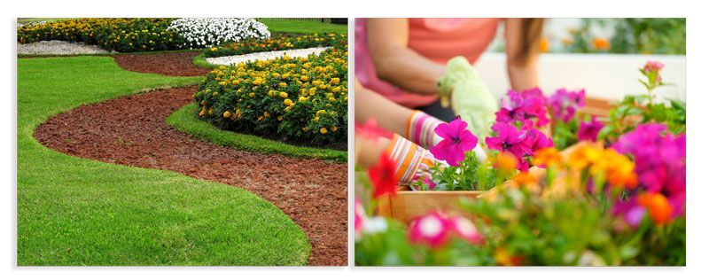 Una mujer está plantando flores en un jardín.