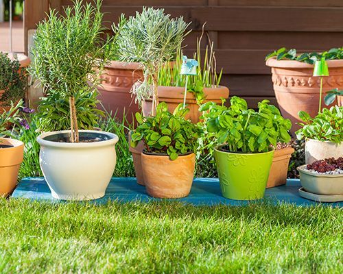 Macetas Para Plantas Exterior () Macetas Para Plantas Exterior