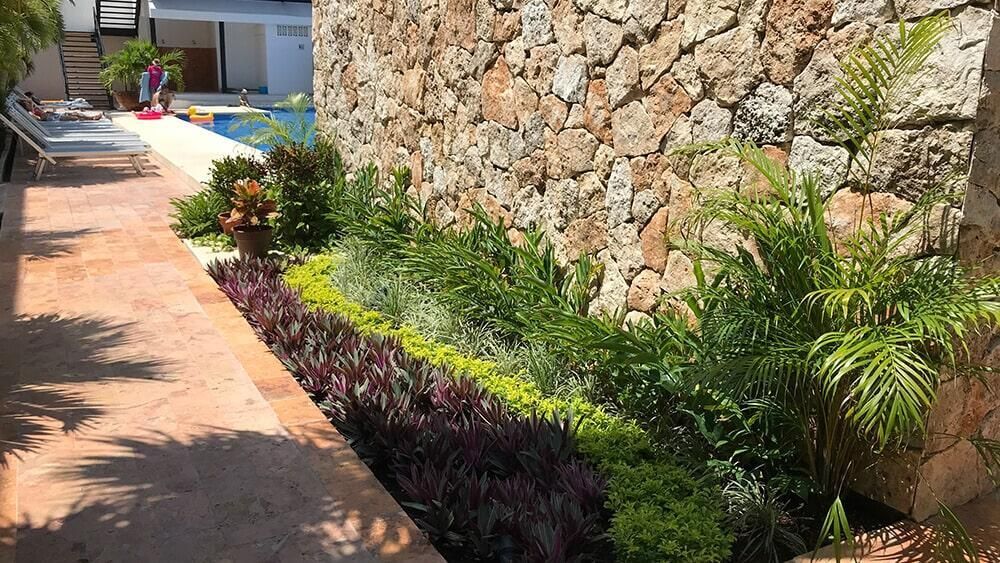Un muro de piedra rodea un exuberante jardín verde con una piscina al fondo.