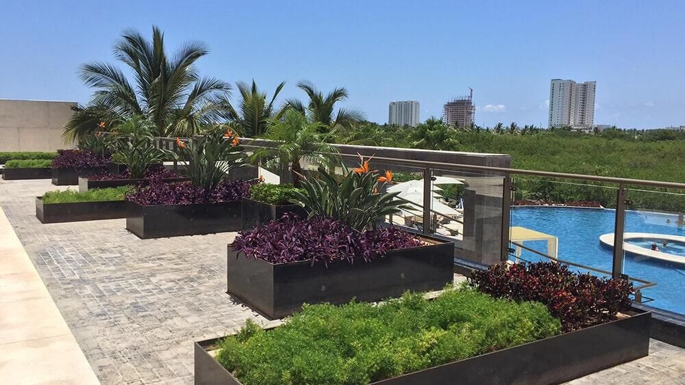 Una hilera de maceteros llenos de plantas en un patio junto a una piscina.