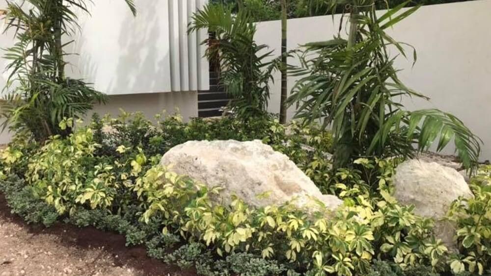 Un jardín con muchas plantas y rocas frente a un edificio.