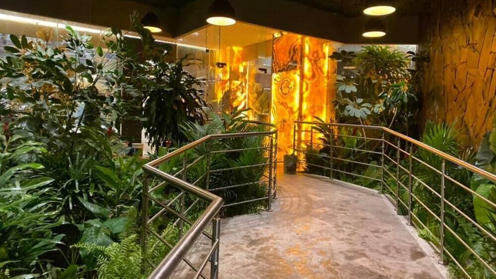 Un pasillo que conduce a una habitación llena de muchas plantas.