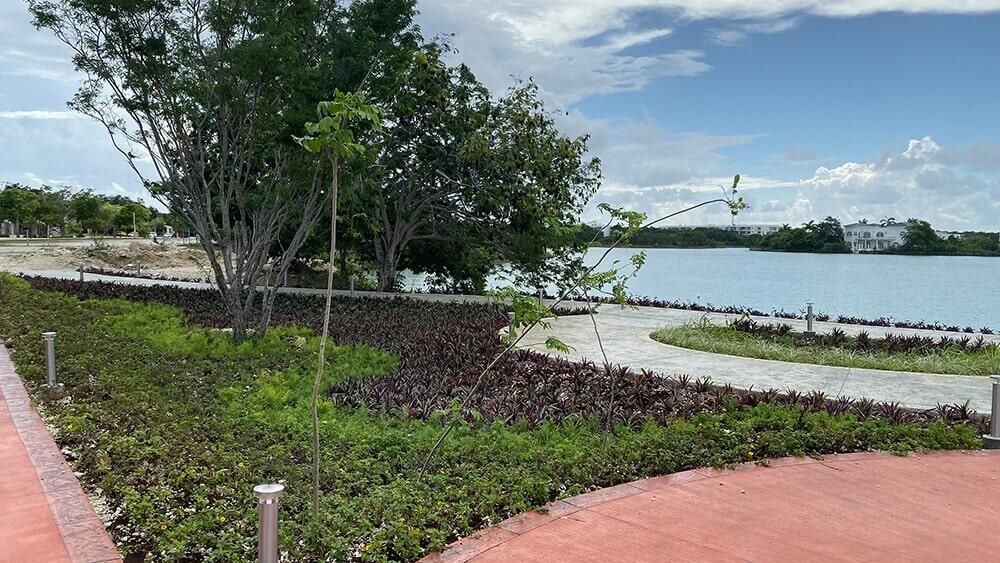 Un camino que conduce a un lago rodeado de árboles y arbustos.