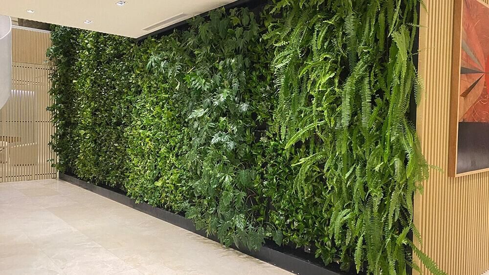Una pared viva llena de muchas plantas verdes en una habitación.