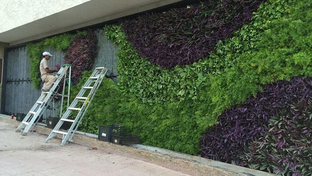 Un hombre está parado en una escalera junto a una pared verde.