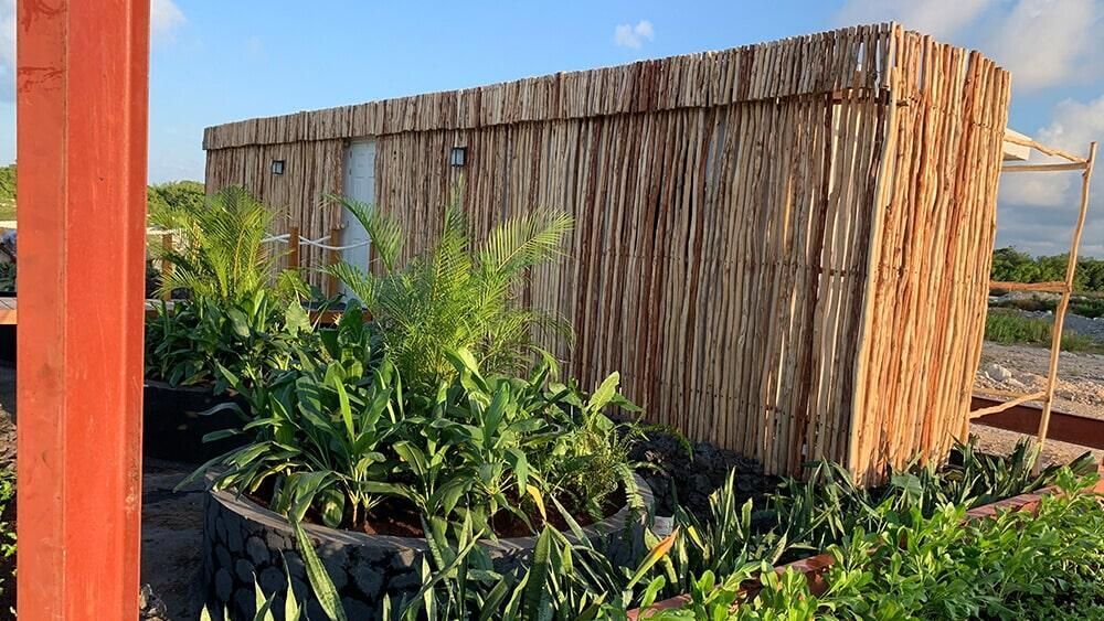 Una pequeña cabaña hecha de paja está rodeada de plantas.
