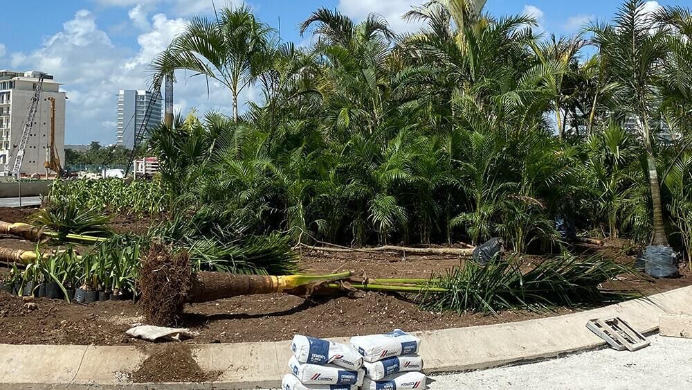 Un montón de arena está sentado en la acera frente a un exuberante bosque verde.