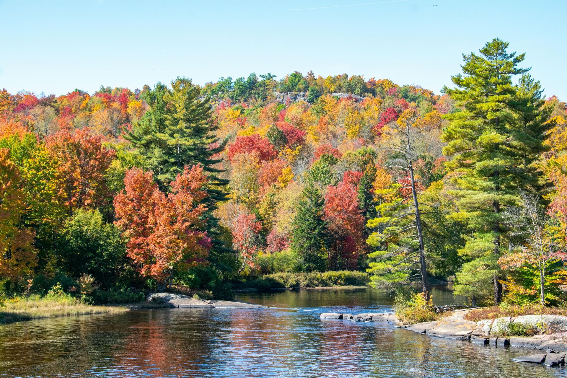 A mountain of colorful trees during autumn behind a river