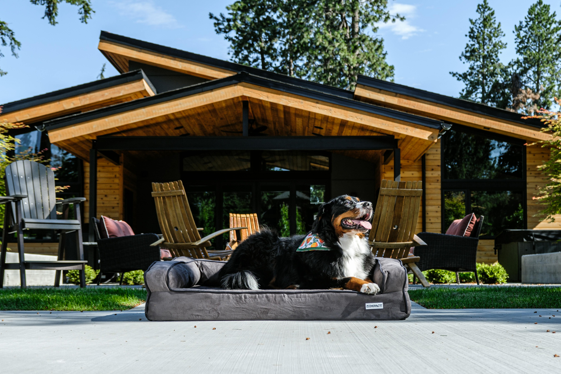 A dog sitting on a dog bed outside in front of a house