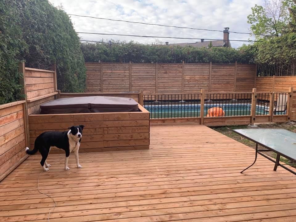 Un chien se tient debout sur une terrasse en bois à côté d'un bain à remous.