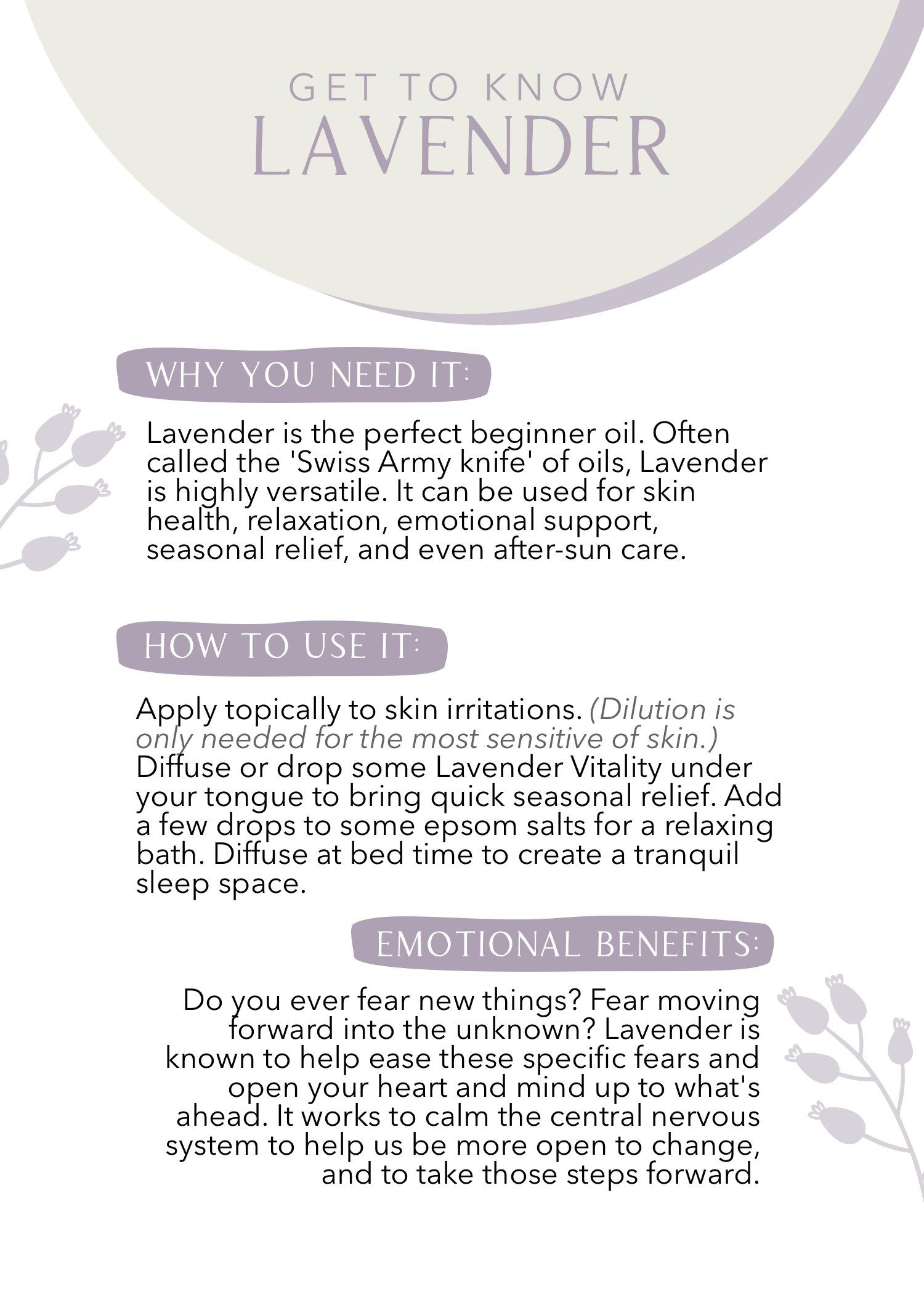 Get to Know Lavender