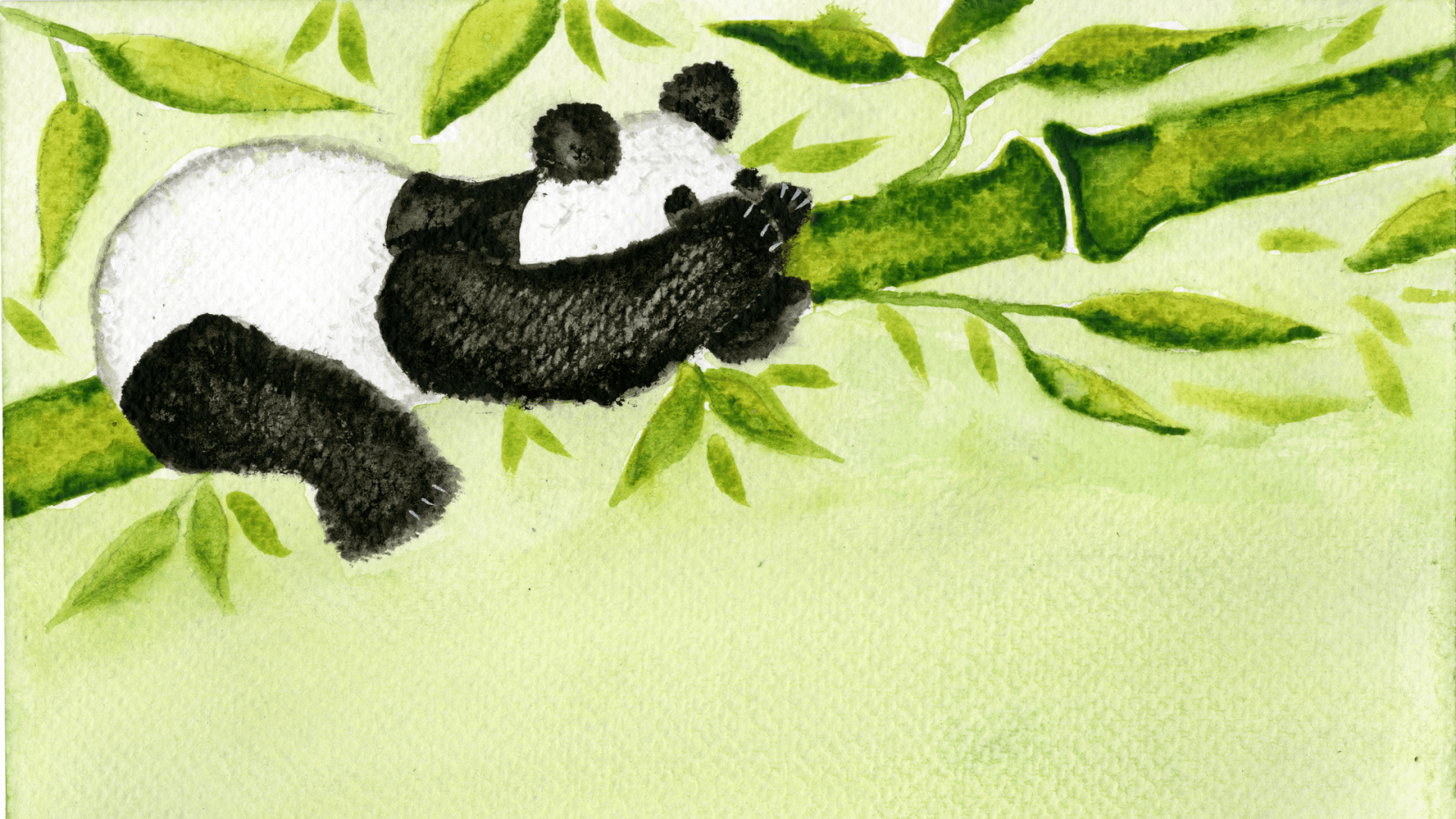 Panda in asleep in a tree