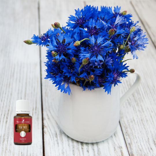 Flowers and Tea Tree Essential Oil