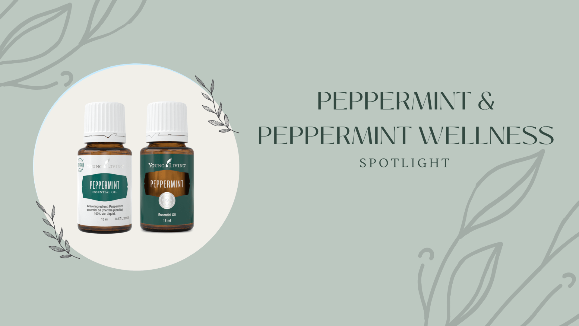 Peppermint & Peppermint Wellness Essential Oil Spotlight