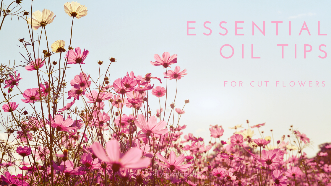 Essential Oil Tips For Cut Flowers