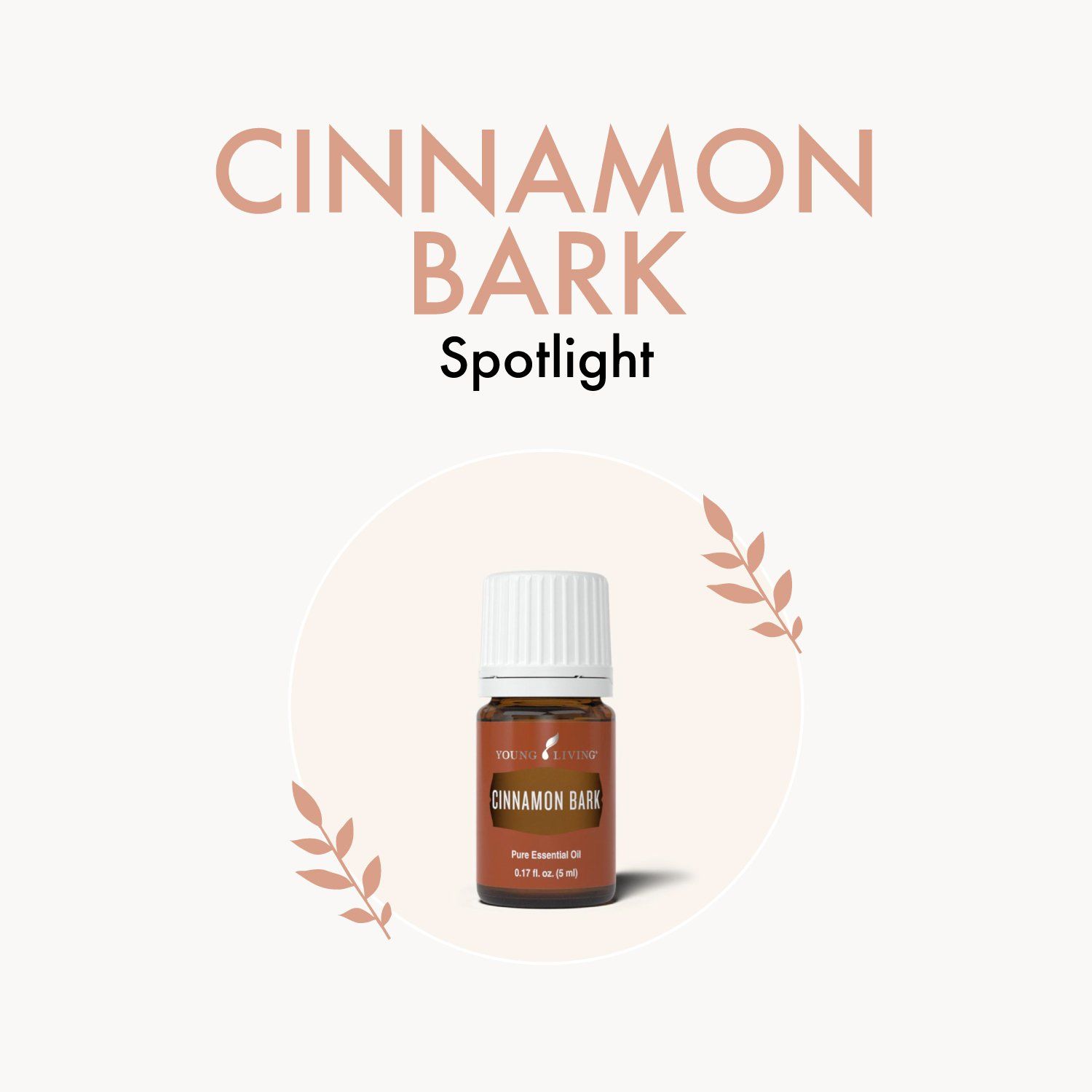 Oil Spotlight: Cinnamon Bark