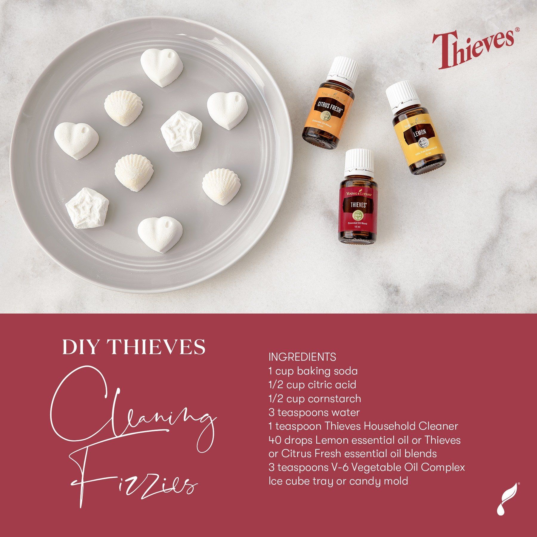 DIY Thieves Cleaning Fizzies